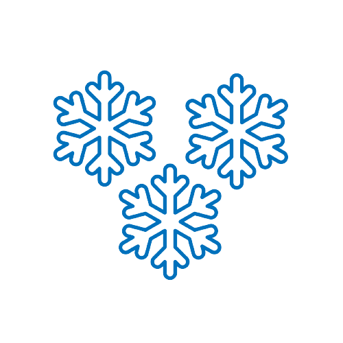 Nevicata Forte