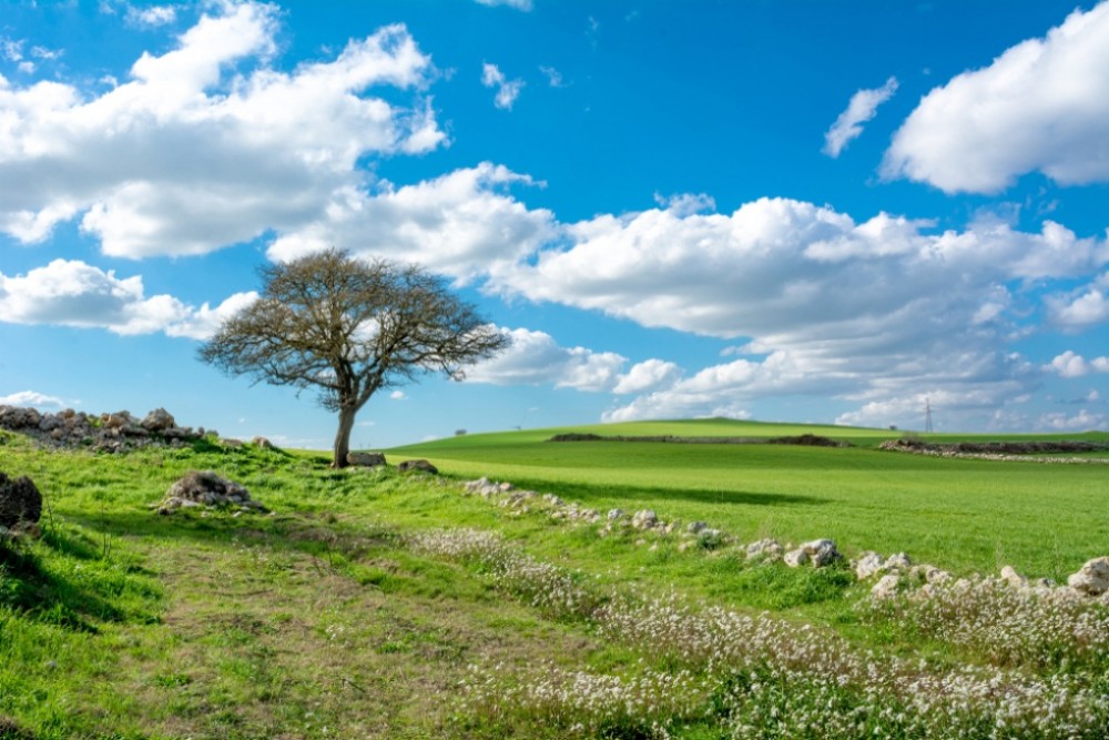 Fine settimana con pressione atmosferica in rinforzo