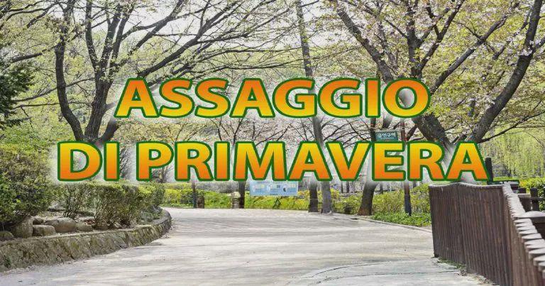 Meteo Italia, aria quasi di primavera e temperature elevate: dal weekend leggera flessione