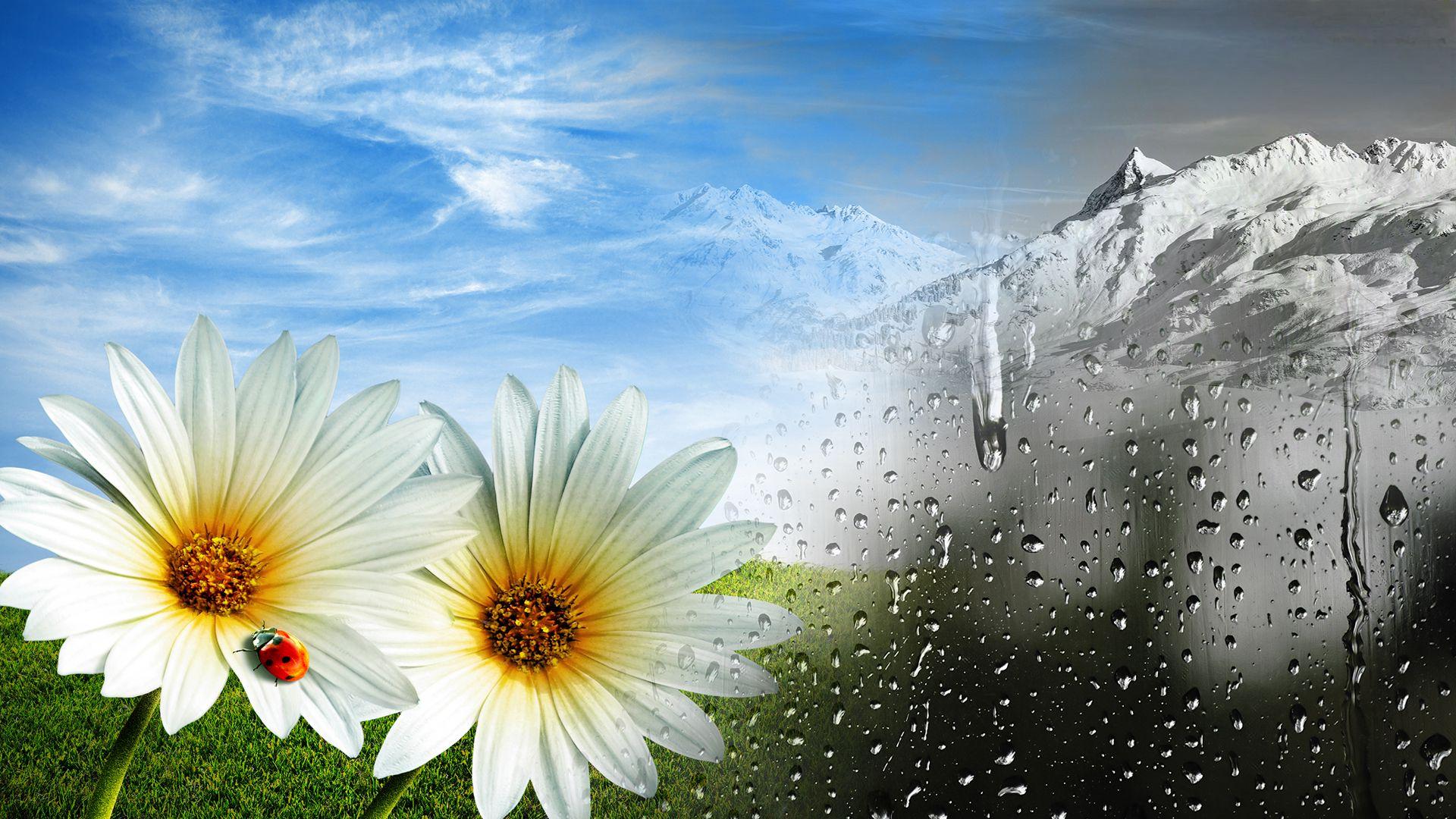 Inizio di primavera segnato da freddo intenso e fiocchi a bassa quota