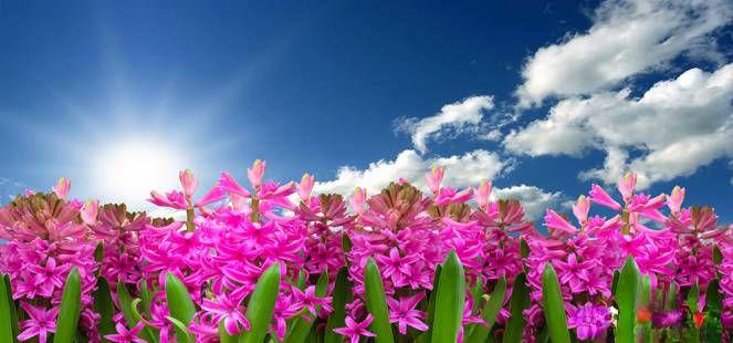 Meteo. Pasqua e Pasquetta, dopo il ciclone Erminio arriva l'anticiclone ed esplode la primavera