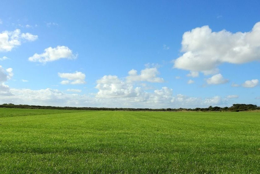 Nel 2025 il livello medio globale della vegetazione ha raggiunto un massimo storico: la tendenza al rialzo continua